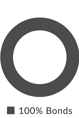 ABLE Fixed Income donut chart showing 100% Bonds